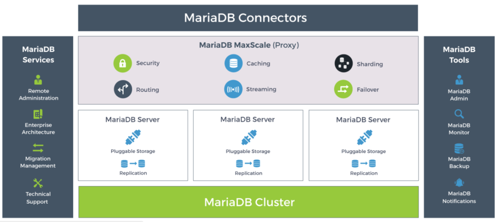 MariaDB TX